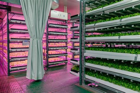 Vertical Farming 101: Everything You Need to Know - balustradellc