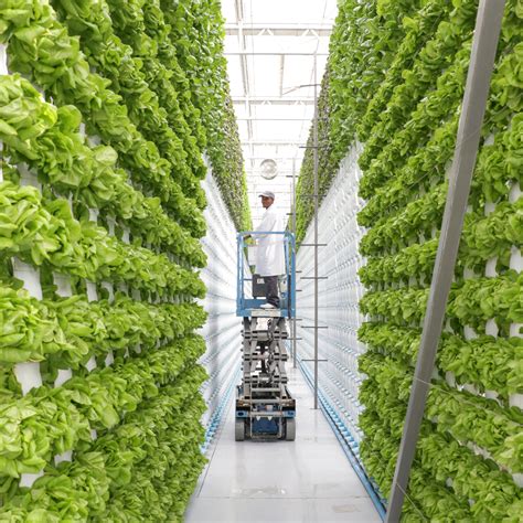Vertical Farming - Agxio - coolestguyplanet.net