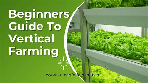 Vertical Farming for Beginners: A Step-by-Step Guide … - balustradellc