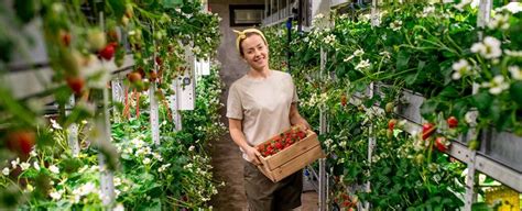 Vertical Farming Investment: Top 3 Ways To Invest - balustradellc