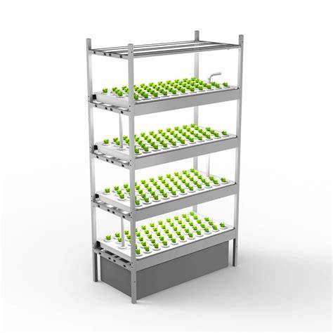 Vertical Farming Racks: Top 7 Types to Invest In - raincitystudios.com