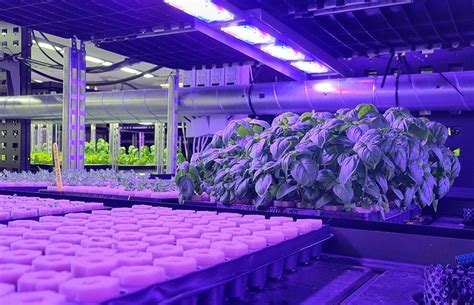 Vertical farming startup: A guide to your funding strategies - balustradellc