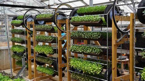 Vertical Farming Systems for Home & Commercial - SLS Grow - balustradellc