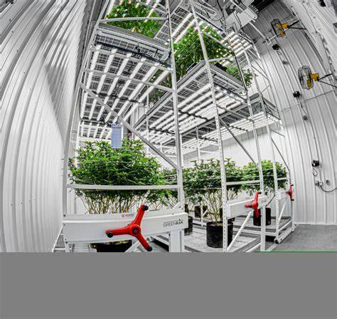Vertical farming with grow cages opens up an entirely different ... - raincitystudios.com