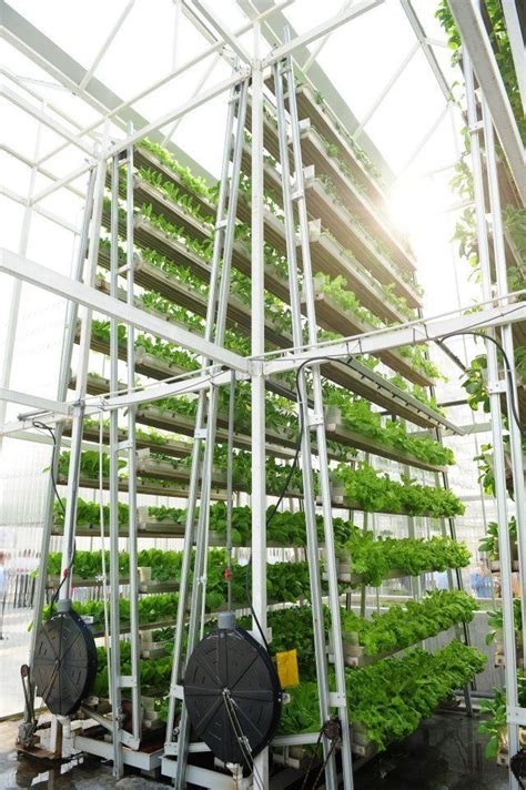 Vertical Farms: A Sustainable Investment Opportunity - balustradellc