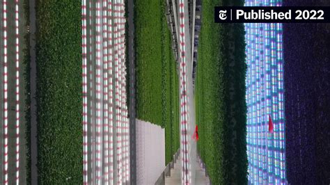 Vertical Farms Expand as Demand for Year-Round … - balustradellc