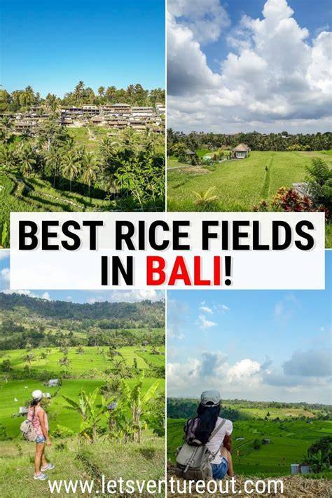 very complete places to visit while in Bali. rice fields ... - raincitystudios.com