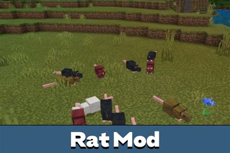 VERY IMPORTANT DOWNLOAED RAT NOT IN MODS …