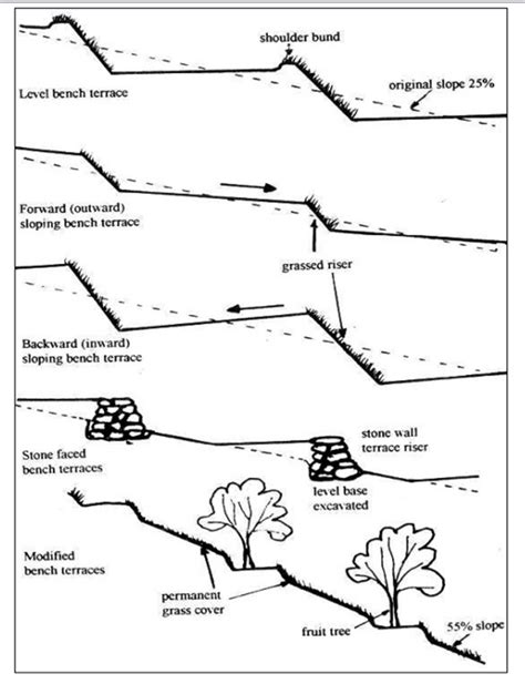 VI. CONTINUOUS TYPES OF TERRACES (BENCH TERRACES) - raincitystudios.com