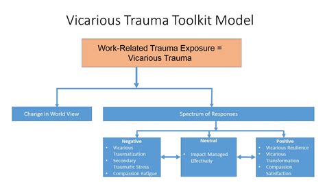 Vicarious traumatization: A framework for understanding the ... - wintechmobiles.com