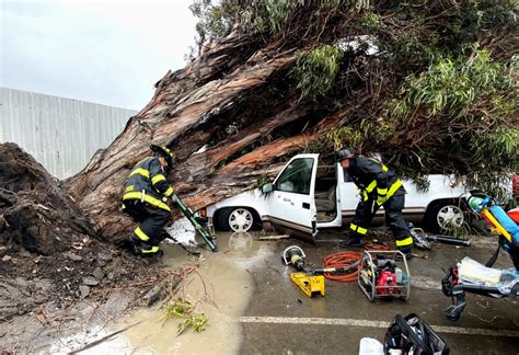 VIDEO: Bay Area firefighters rescue 2 after tree smashes into truck