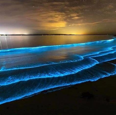 VIDEO: Bioluminescent waves spotted at these San Diego beaches