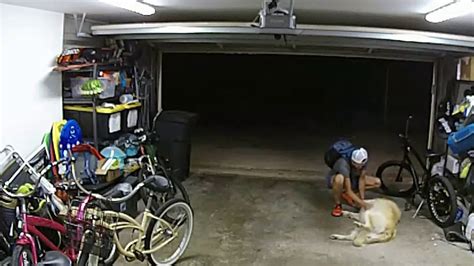 VIDEO: Man pets dog before stealing bike in Pacific Beach