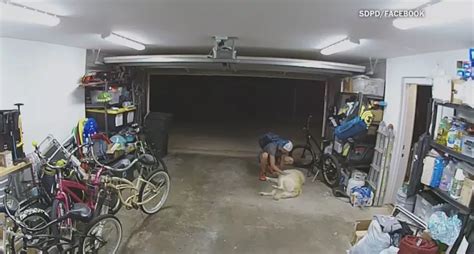 VIDEO: Man steals bike from California home's garage, stops to bond with homeowner's dog