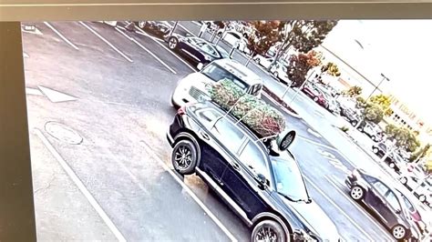 VIDEO: Person steals Christmas tree from parked car in San Mateo