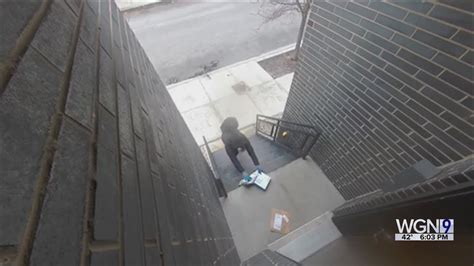 VIDEO: Porch pirate steals packages from Pilsen residence