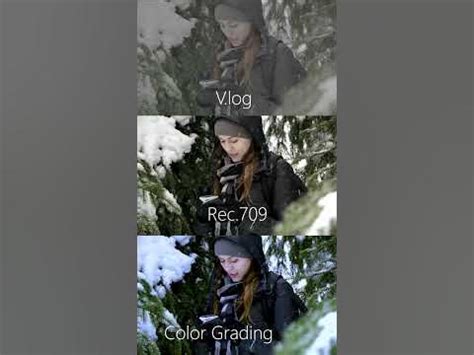 Video Color Grading Basics (From Log to Rec 709) - balustradellc