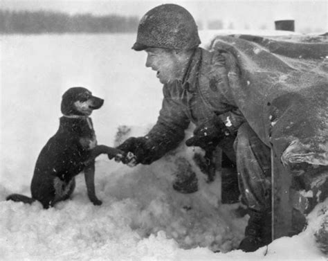 Video ini menangkap momen kebaikan sehari-hari yang ... - balustradellc