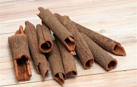 Video of cinnamon tree bark | Britannica - raincitystudios.com