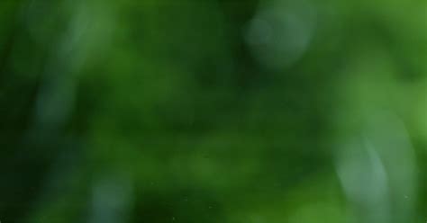 Video Stok, Klip Video 4K, HD Tanpa Royalti | Shutterstock - balustradellc