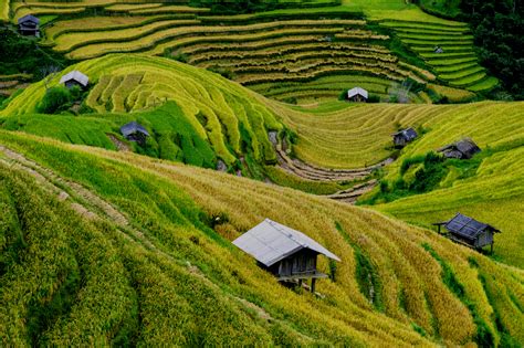 Vietnam Geography and History- Sample Tour - Educating Adventures - wintechmobiles.com