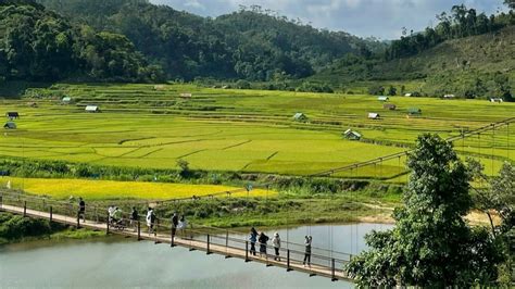 Vietnam Travel Trends in 2025: A Rising Destination for ... - balustradellc