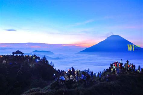 view dari atas sikunir. Bukit Sikunir adalah destinasi wisata populer ... - balustradellc