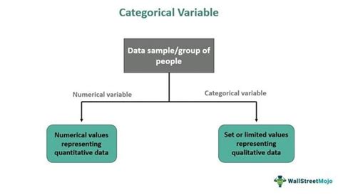 VIF for Categorical Variable with More Than 2 Categories - wintechmobiles.com