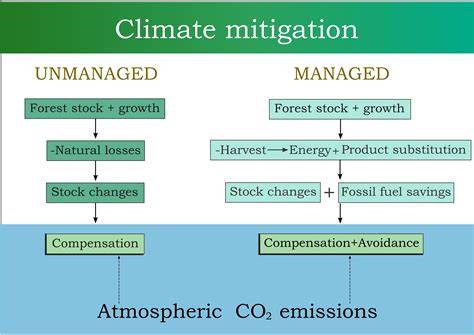 Village forest management for mitigation of climate change and ... - raincitystudios.com