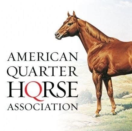 VINTAGE AMERICAN QUARTER HORSE ASSOCIATION HANDBOOK REGISTRATION …