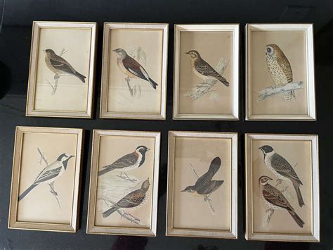 Vintage Bird Print for sale | eBay - muktibox.com