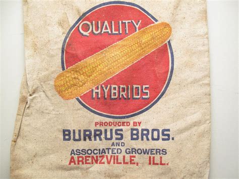 VINTAGE BURRUS QUALITY HYBRIDS, ARENZVILLE, …