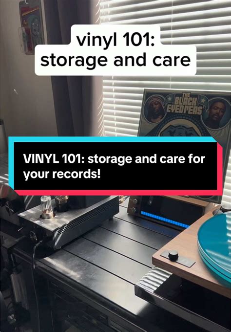 Vinyl collecting 101: Vinyl storage , sleeving and basic ... - muktibox.com