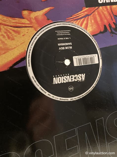 VinylAuction | Buy Rare & Collectible Vinyl Records Online - balustradellc