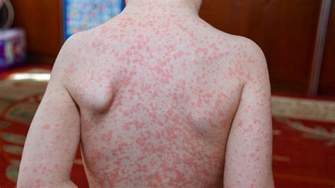 Viral | Latest Bollywood News | Top News of Bollywood - Bollywood … - balustradellc