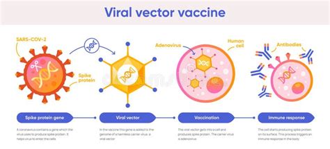 Viral - Latest News, Photos and videos of Viral | Bollywood Life - balustradellc
