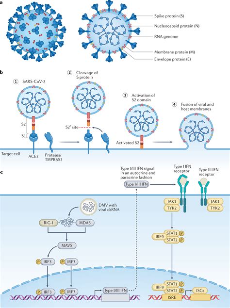 Viral In Nature Reviews & Ratings | Goodfirms - balustradellc