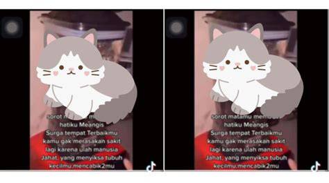 VIRAL KUCING DI BLENDER model Instagram & gym ML https www xvideos com tags japanese unduh adegan bangga konsisten siang esok penikmat konten eksotis mengerikan image 1