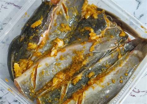 Viral lele mentah MBG Pamekasan, ini resep lele marinasi ... - BrilioFood - balustradellc