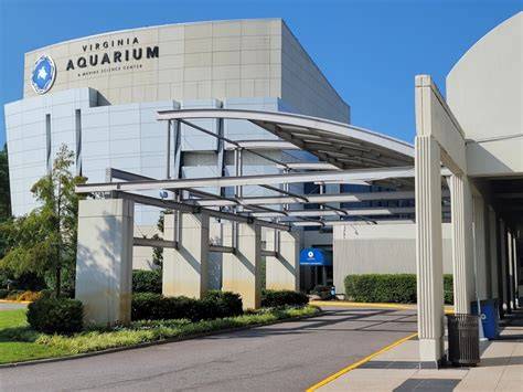 Virginia Aquarium - raincitystudios.com
