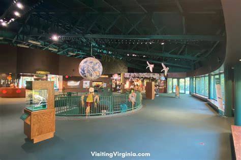 Virginia Living Museum - raincitystudios.com