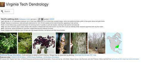 Virginia Tech Dendrology - raincitystudios.com