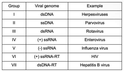 Virology Flashcards & Quizzes – Page 59 - Brainscape - muktibox.com
