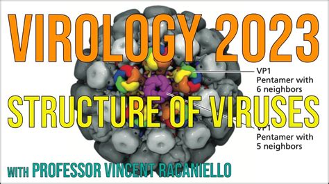 Virology Lectures 2026 #8: Viral DNA Replication - muktibox.com
