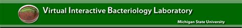 Virtual Interactive Bacteriology Laboratory - muktibox.com