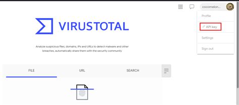 VirusTotal API v3 Overview - coolestguyplanet.net