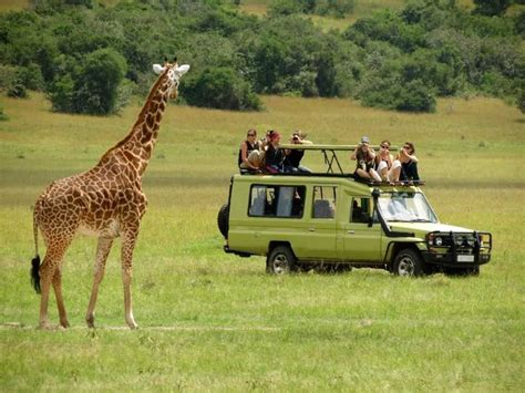 VISIT ARUSHA TOURS & SAFARIS’ Post - LinkedIn