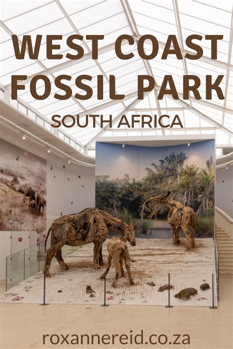 Visit Park Fossils - Fossils and Paleontology (U.S. National Park … - wintechmobiles.com