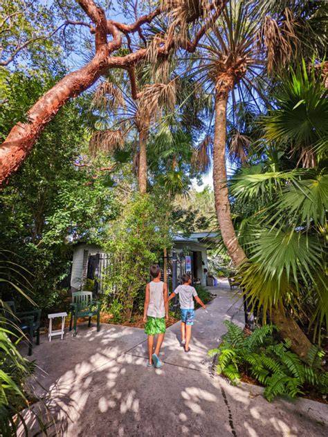 Visit the Garden | Key West Tropical Forest & Botanical … - raincitystudios.com