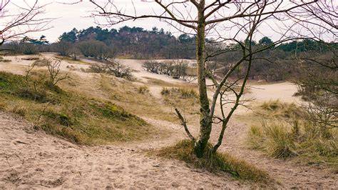Visiting the dunes of Schoorl, The Netherlands | A … - raincitystudios.com